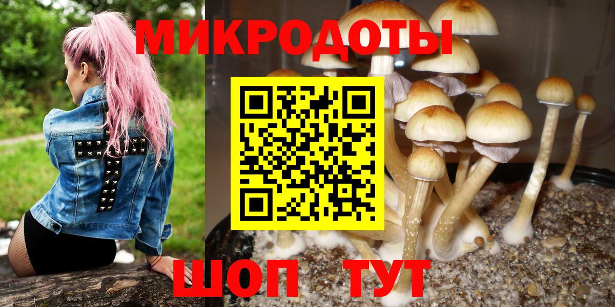 Галлюциногенные грибы Cubensis  Псилоцибиновые грибы мухоморы  Сыктывкар  Вход с VPN 